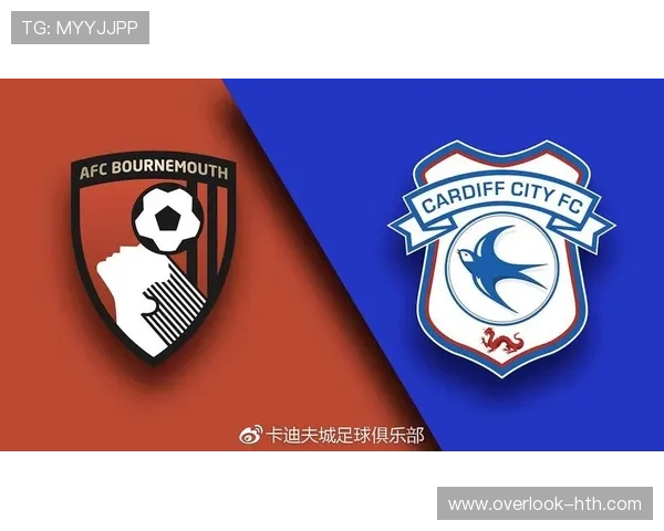 卡迪夫城足球俱乐部的历史发展与未来前景分析 卡迪夫城足球俱乐部的历史发展与未来前景分析